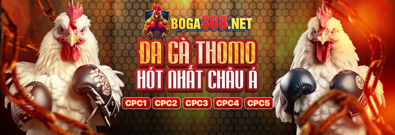 Đá Gà Trực Tuyến Hấp Dẫn tại fb86 nhà cái
